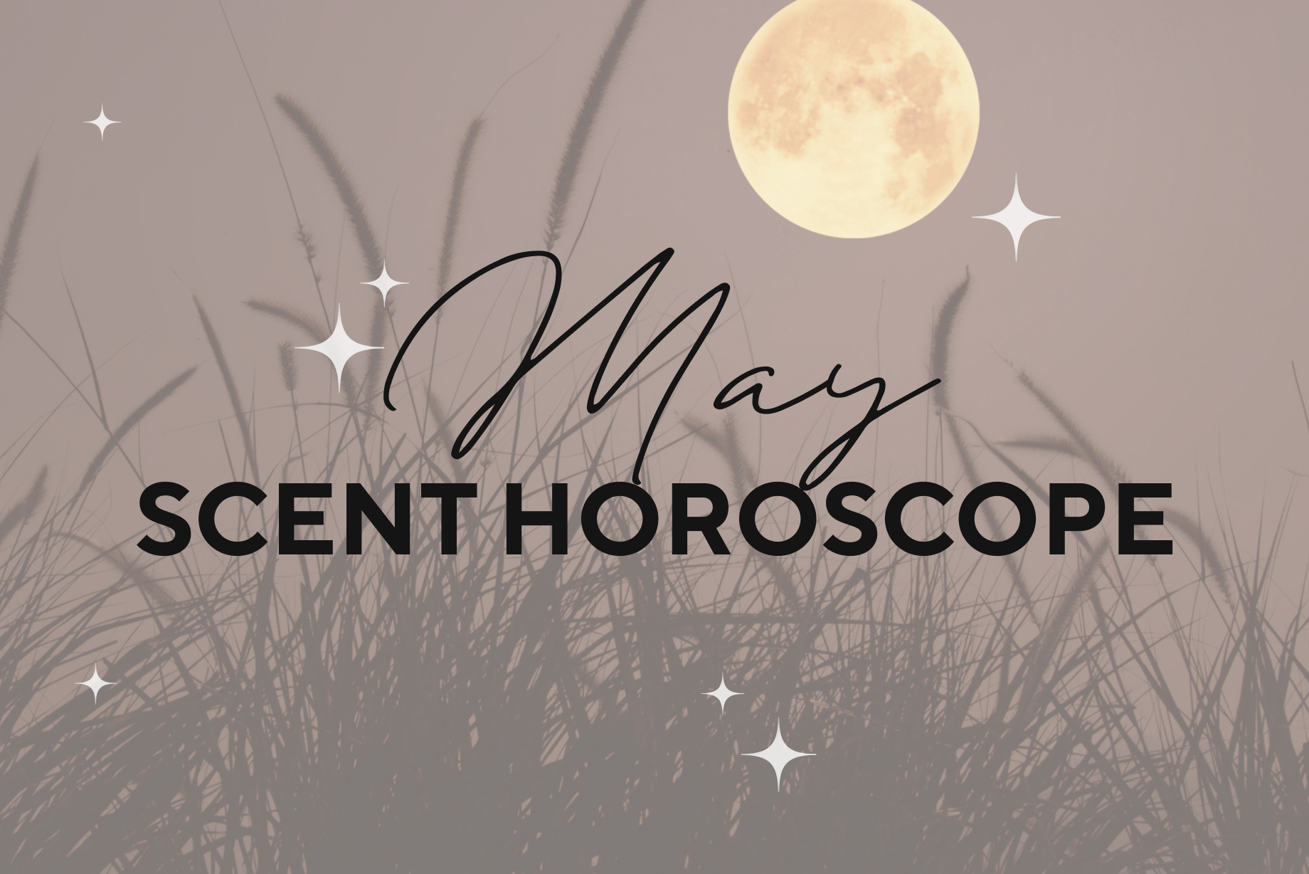 May 2024 Scent Horoscope